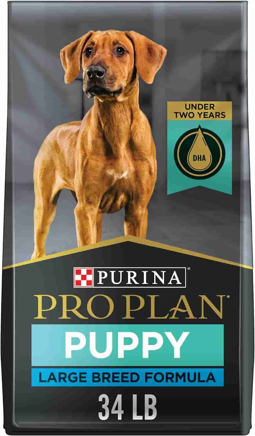 Purina Pro Plan FOCUS Puppy Large Breed Formula Dry Dog Food-min