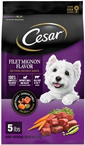 CESAR Adult Small Breed Dry Dog