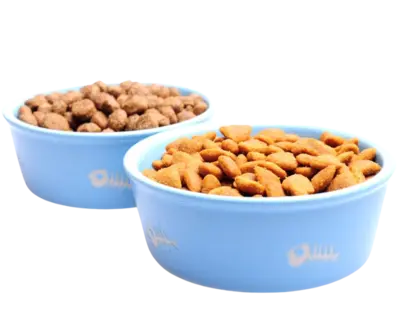 Dog Food bowls