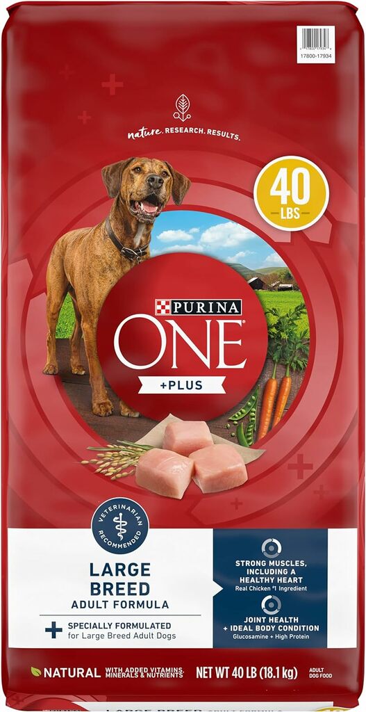 Purina ONE Large Breed Dry Dog Food
