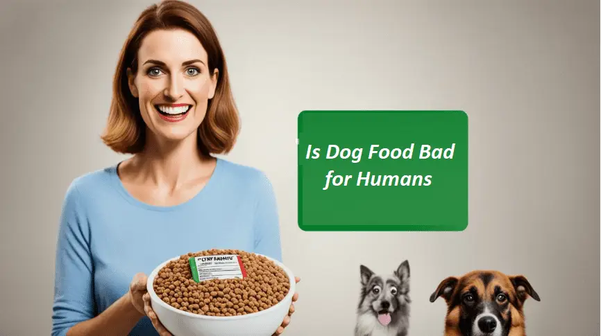 Is Dog Food Bad for Humans