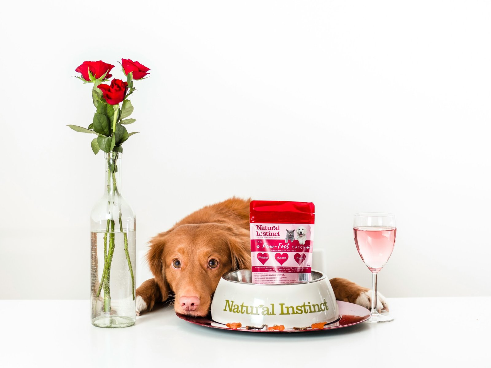 The Ultimate Guide to Choosing the Right Dog Food: Insights and Recommendations